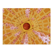 Cherry Blossoms Postcards