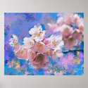 Cherry Blossoms posters