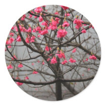 Cherry Blossoms Round Sticker