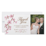 Cherry Blossoms Thank You Photo Card photo cards