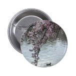 Cherry Blossoms Washington DC Button
