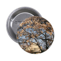 Cherry Blossoms Washington DC buttons