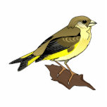 Cherry Canary photo sculptures