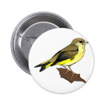Cherry Canary Pinback Buttons