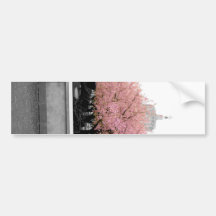 Cherry Capitol Bumper Stickers