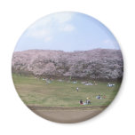 cherry tree in Japan Refrigerator Magnet