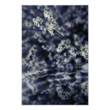 Cherry tree photo print