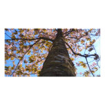 Cherry Tree Personalized Photo Card
