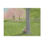 Cherry Tree Sketcher - Central Park postcards