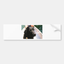 Chert Dog Bumper Stickers