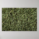 Chervil posters