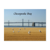 Chesapeake Bay Bridge Postcard