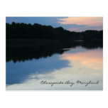 Chesapeake Bay, Maryland Postcard