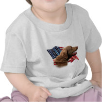 Chesapeake Bay Retriever Flag