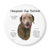 Chesapeake Bay Retriever History Design