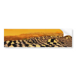 Chess art, chess rules, chess openings, bumper sticker