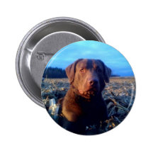 Chessie Buttons