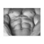 Chest Postcard #3