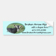 Chester Bumpersticker-customise Bumper Stickers