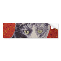 Chester Face Painting Bumper Stickers