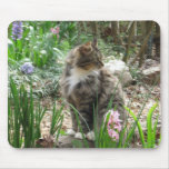 Chester The Cat Mousepad