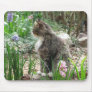 Chester The Cat Mousepad