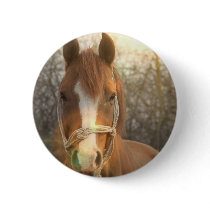 Chestnut Arab Horse Round Button