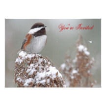 Chestnut Backed Chickadee in the Snow Personalised Invitation