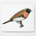 Chestnut-breasted Mannikin - Lonchura castaneothor mousepads