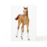 Chestnut Foal Greeting Card