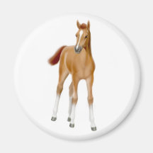 Chestnut Foal Magnet