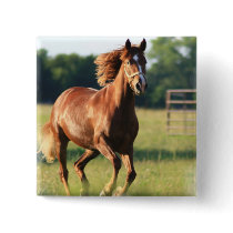 Chestnut Galloping Horse Square Button