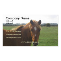 Chestnut Horse Business Card