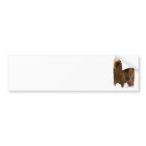 Chestnut Horse Design Bumper Sticker