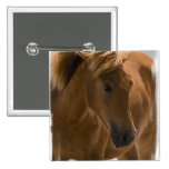 Chestnut Horse Design Pin