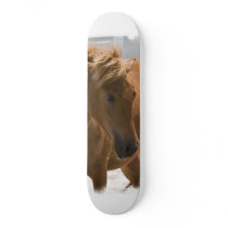 Chestnut Horse Design Skateboard