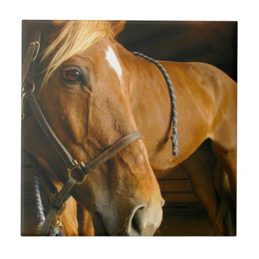 Chestnut Horse Design Tile