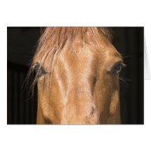 Chestnut Horse Greeting Card