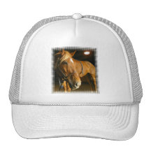 Chestnut Horse Photo Baseball Hat