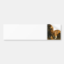 Chestnut Horse Photo Bumper Sticker