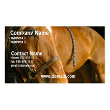 Chestnut Horse Photo Business Card