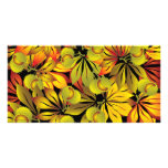chestnut picture card