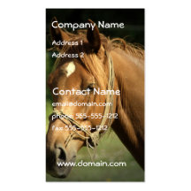Chestnut Pony Business Card