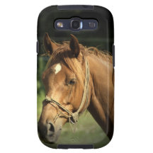 Chestnut Pony Samsung Galaxy Case
