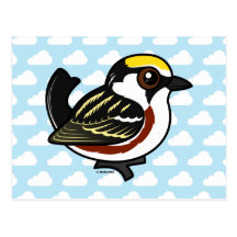 Chestnut-sided Warbler Post Cards