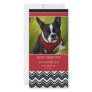 CHEVRON STRIPES | HOLIDAY PHOTO CARD