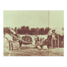 Cheyenne Indians on the Move, 1878 (b/w photo) Postcards
