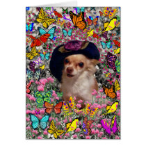Chi Chi in Butterflies  - Chihuahua Puppy in Hat Greeting Cards