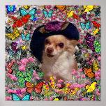 Chi Chi in Butterflies  - Chihuahua Puppy in Hat Poster