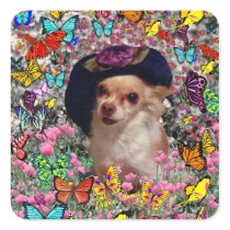 Chi Chi in Butterflies  - Chihuahua Puppy in Hat Square Stickers